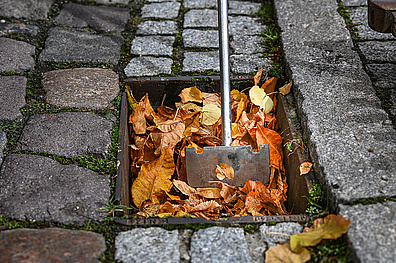 Lauf in Straßeneinläufen Das Bild zeigt einen Weg, dessen Straßenläufe vollständig mit Herbstlaub bedeckt sind. Eine dicke Schicht bunter Blätter hat sich über die Entwässerungsrinnen gelegt und verdeckt sie komplet.