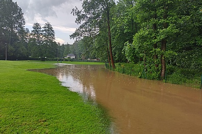 Überschwemmte Wiese mit Bäumen am Rand. Weite Wasserfläche bedeckt die gesamte Wiese. Zahlreiche Bäume stehen am Rand, ihre Stämme teilweise im Wasser versunken.