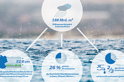 Die Infografik zeigt den durchschnittlichen jährlichen Niederschlag und dessen Verteilung.