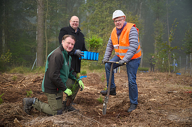 3 Personen stehen im Wald und halten kleine tannen sowie Spaten in der Hand für ein Aufforstungsprojekt im Oschatzer Fliegerhorst.