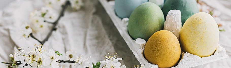 Bunte Ostereier in einer Eierpackung. Daneben ein Osterstrauch.