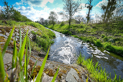 Das auf der Kläranlage Schönebeck (Elbe) gereinigte Abwasser fließt in den Vorfluter der Elbe.