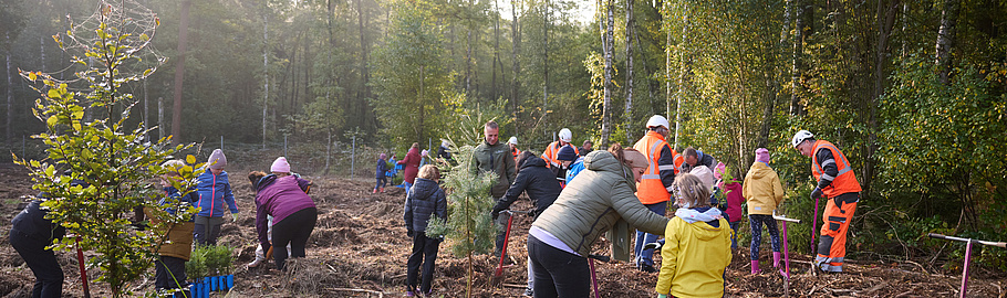 Kinder und ihre Eltern sowie Mitarbeiter von Veolia in oranger Kleider pflanzen Tannen auf einem Waldstück.