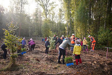 Kinder und ihre Eltern sowie Mitarbeiter von Veolia in oranger Kleider pflanzen Tannen auf einem Waldstück.